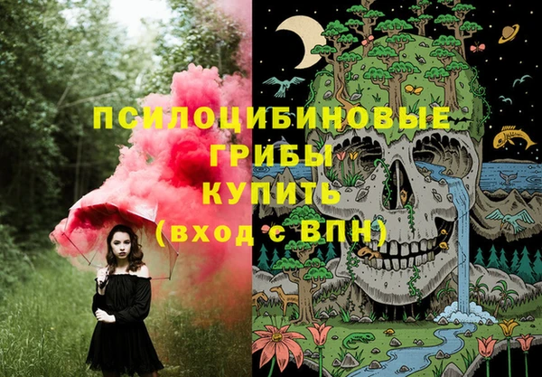 крисы Алексеевка