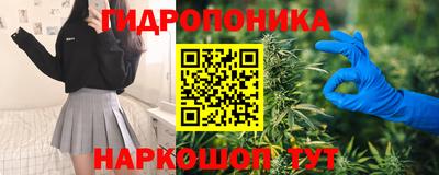 apvp Дубна