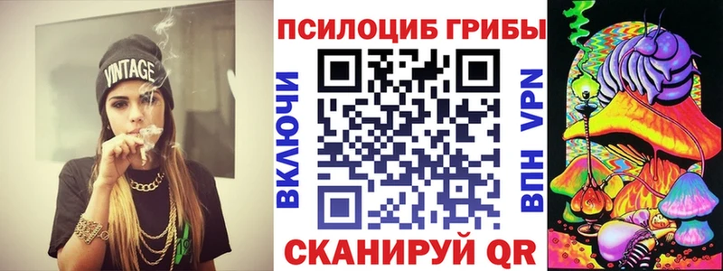 кракен зеркало  Набережные Челны  Псилоцибиновые грибы Psilocybine cubensis  как найти наркотики 
